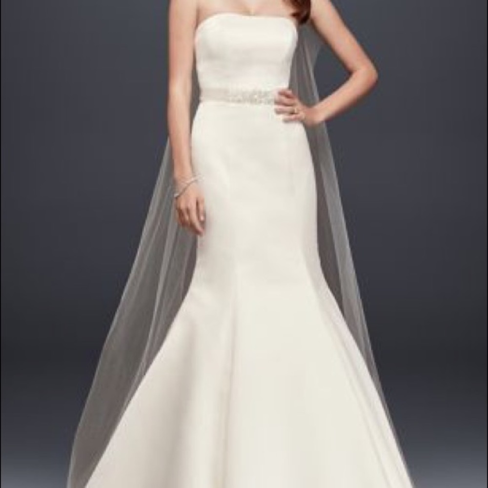 David’s Bridal Strapless Trumpet Wedding Dress